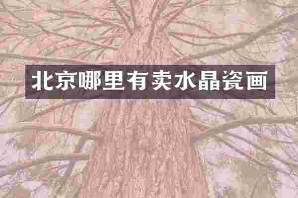 北京哪里有卖水晶瓷画