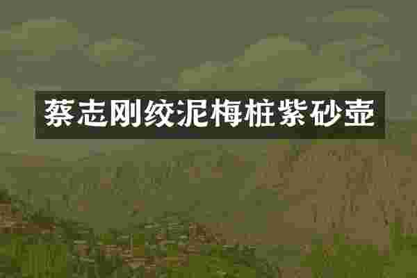 蔡志刚绞泥梅桩紫砂壶
