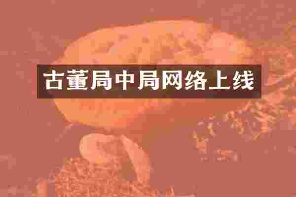 古董局中局网络上线