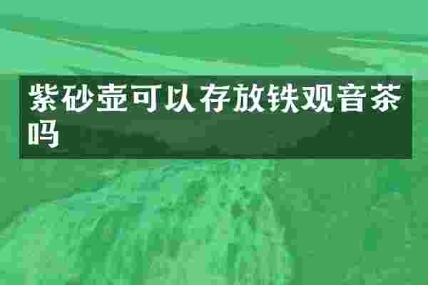 紫砂壶可以存放铁观音茶吗