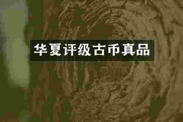 华夏评级古币真品