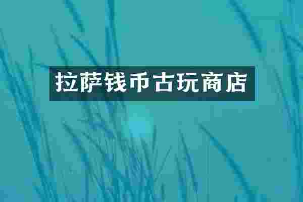 拉萨钱币古玩商店