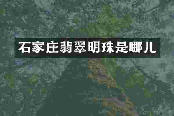 石家庄翡翠明珠是哪儿