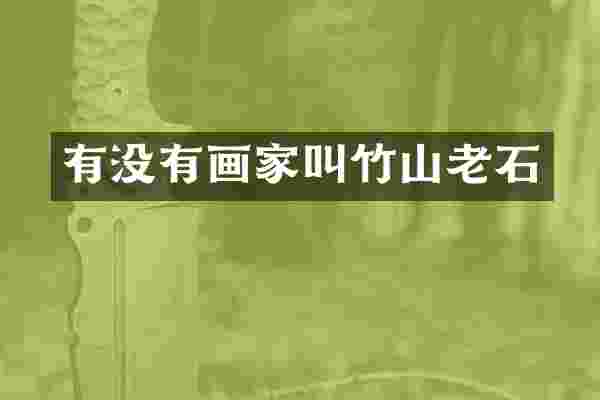 有没有画家叫竹山老石