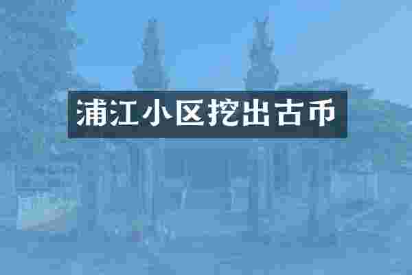 浦江小区挖出古币
