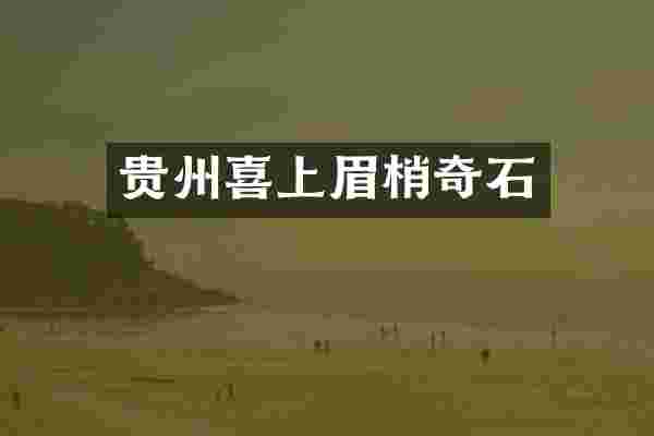 贵州喜上眉梢奇石