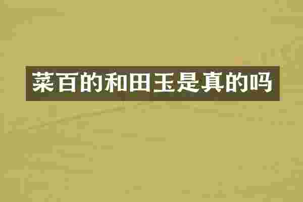 菜百的和田玉是真的吗