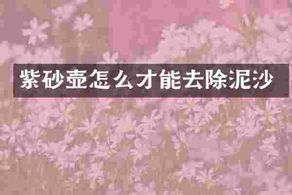 紫砂壶怎么才能去除泥沙