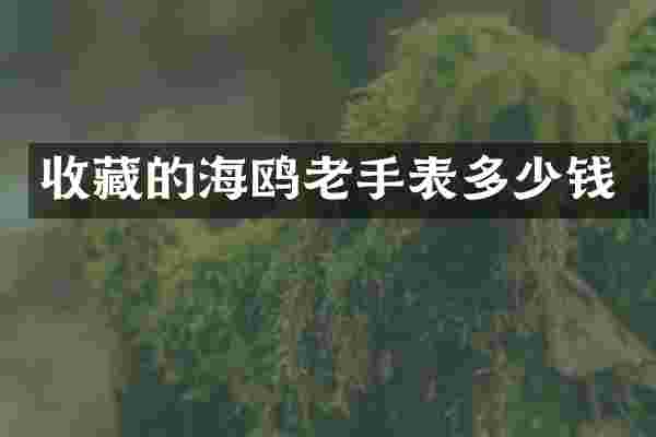 收藏的海鸥老手表多少钱