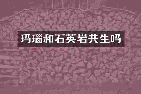 玛瑙和石英岩共生吗