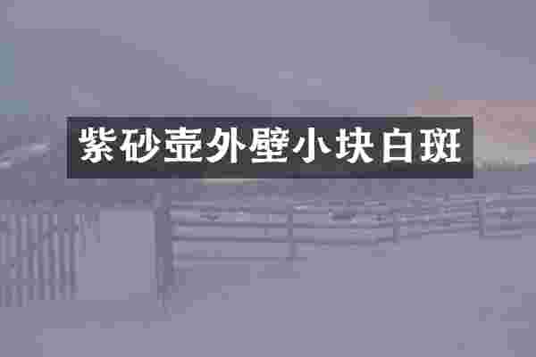 紫砂壶外壁小块白斑