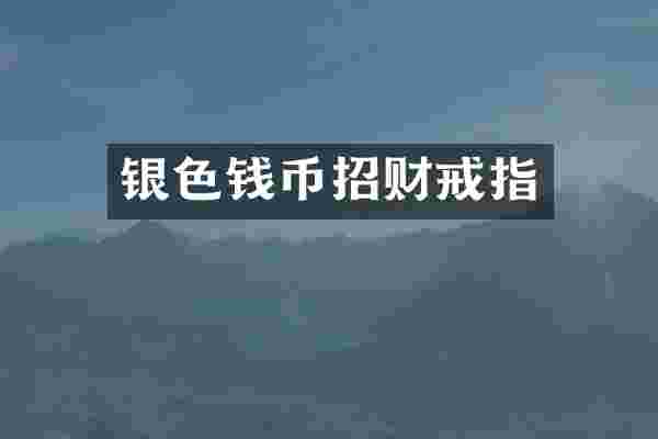 银色钱币招财戒指