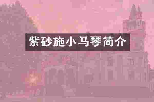紫砂施小马琴简介