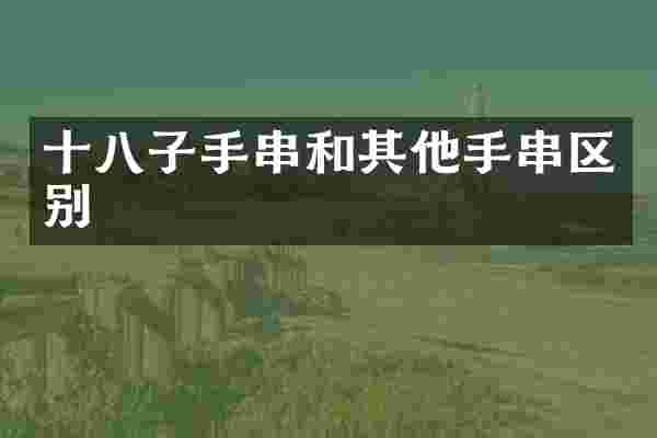 十八子手串和其他手串区别