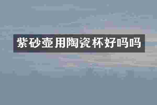 紫砂壶用陶瓷杯好吗吗