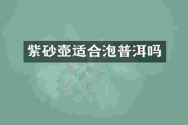 紫砂壶适合泡普洱吗
