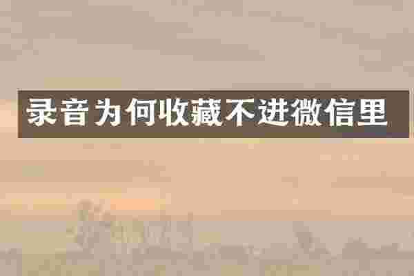 录音为何收藏不进微信里