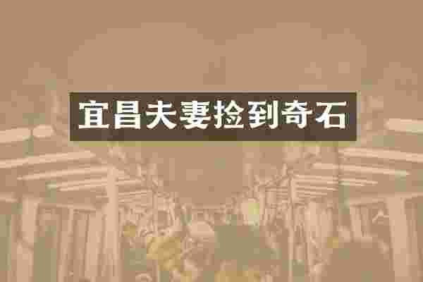 宜昌夫妻捡到奇石