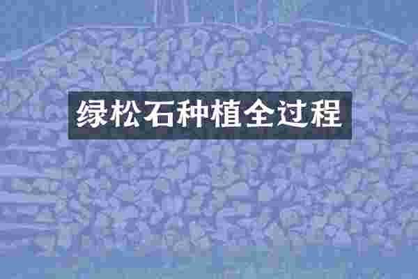 绿松石种植全过程