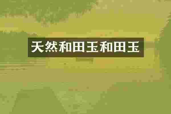 天然和田玉和田玉