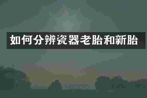 如何分辨瓷器老胎和新胎