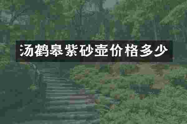汤鹤皋紫砂壶价格多少