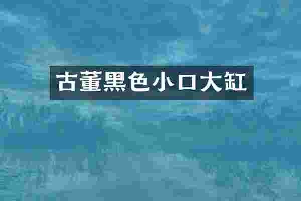 古董黑色小口大缸