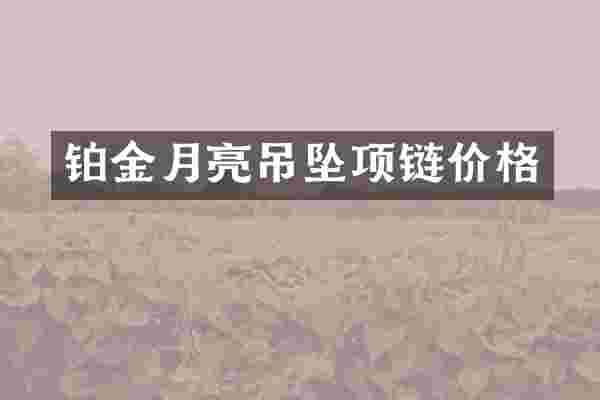 铂金月亮吊坠项链价格