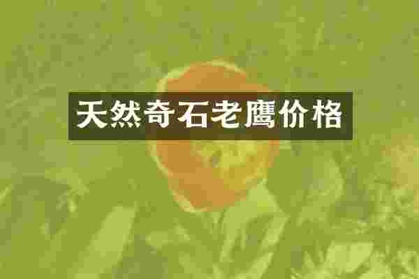 天然奇石老鹰价格
