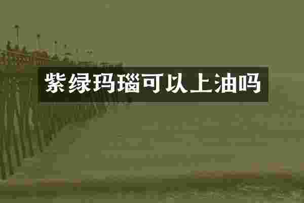 紫绿玛瑙可以上油吗