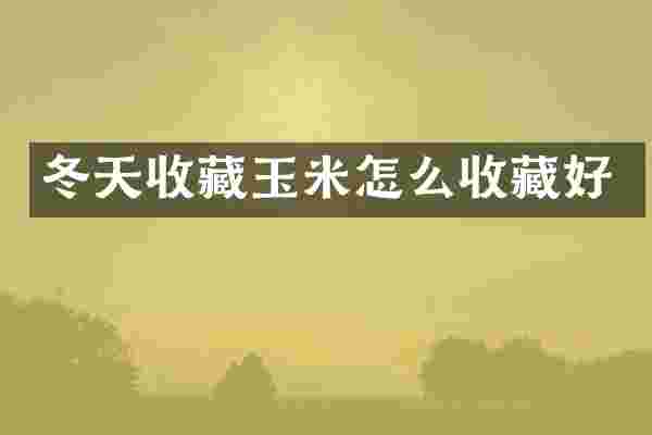 冬天收藏玉米怎么收藏好