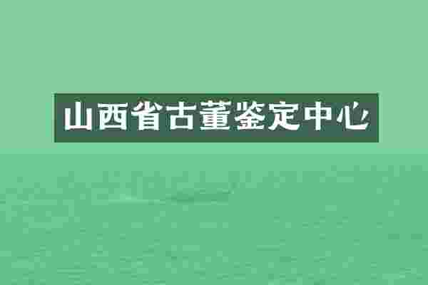 山西省古董鉴定中心