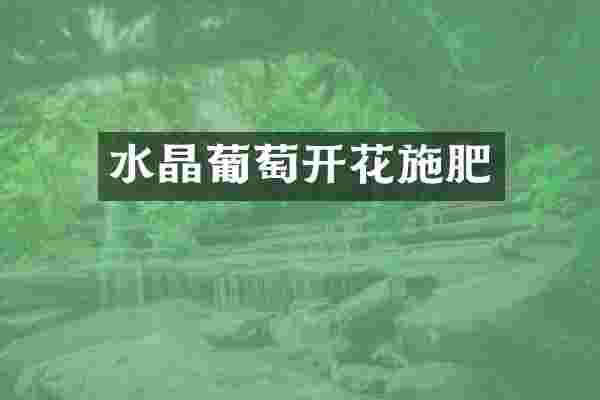 水晶葡萄开花施肥