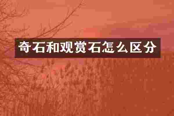 奇石和观赏石怎么区分