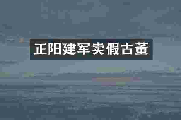 正阳建军卖假古董