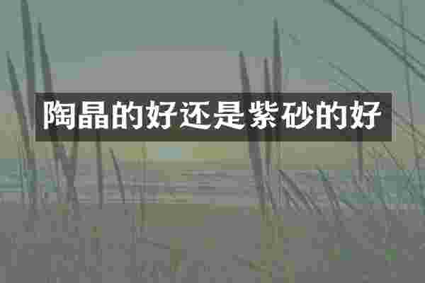 陶晶的好还是紫砂的好