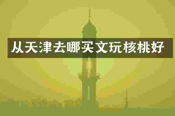 从天津去哪买文玩核桃好