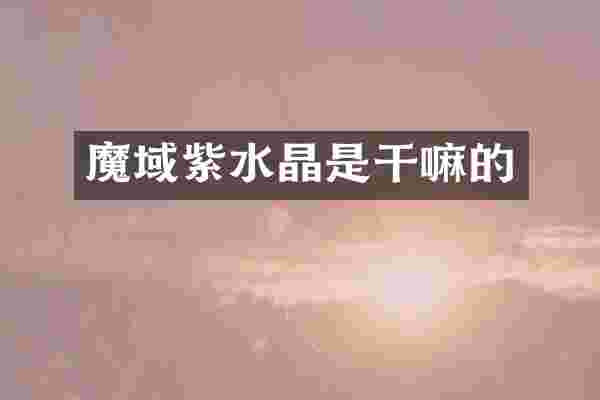 魔域紫水晶是干嘛的