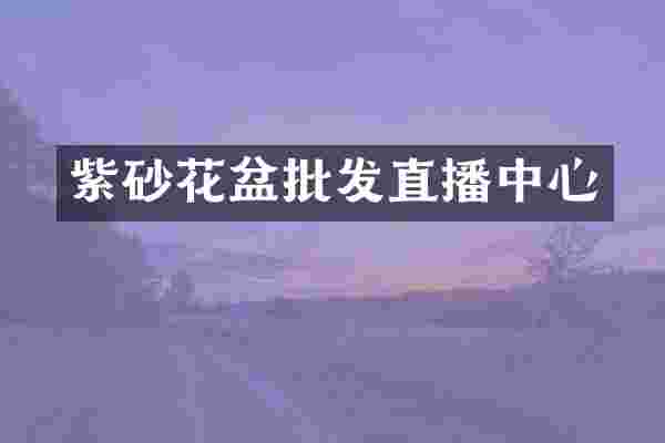 紫砂花盆批发直播中心