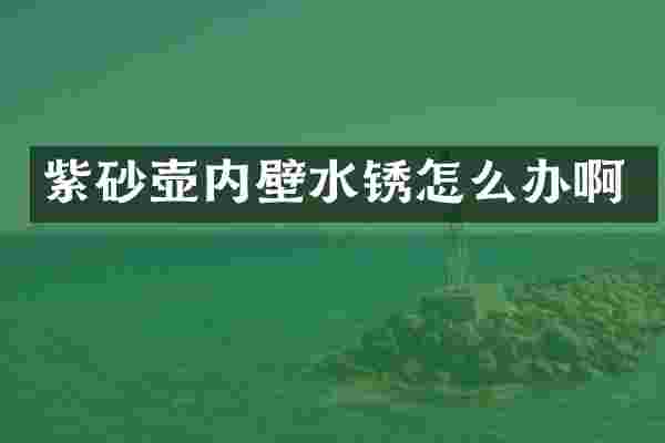 紫砂壶内壁水锈怎么办啊