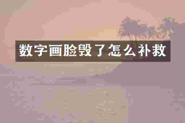 数字画脸毁了怎么补救