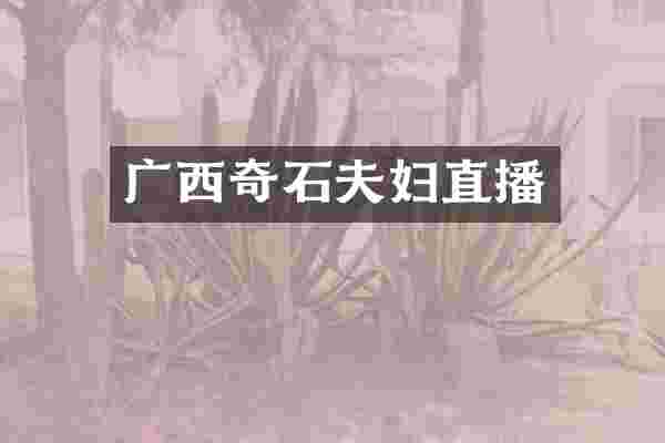 广西奇石夫妇直播