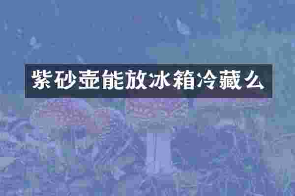 紫砂壶能放冰箱冷藏么