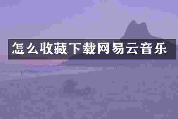 怎么收藏下载网易云音乐