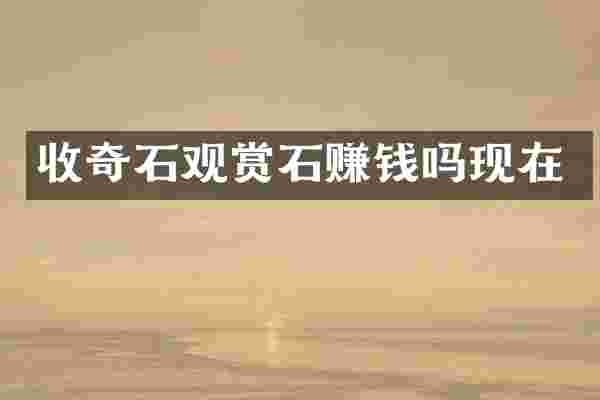 收奇石观赏石赚钱吗现在