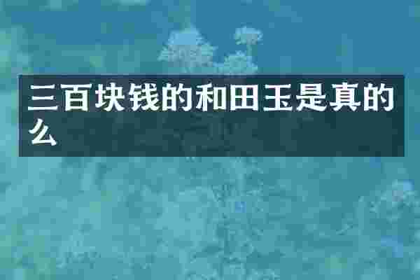 三百块钱的和田玉是真的么