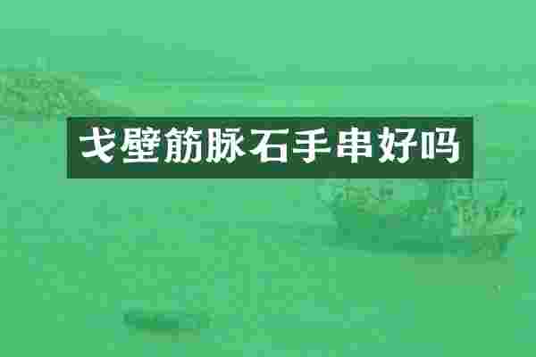 戈壁筋脉石手串好吗