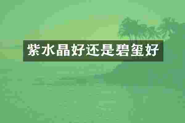 紫水晶好还是碧玺好