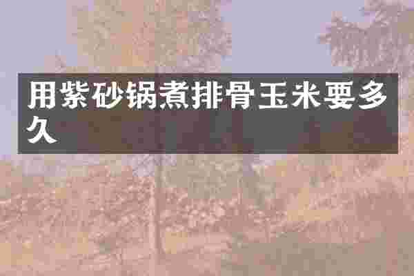 用紫砂锅煮排骨玉米要多久