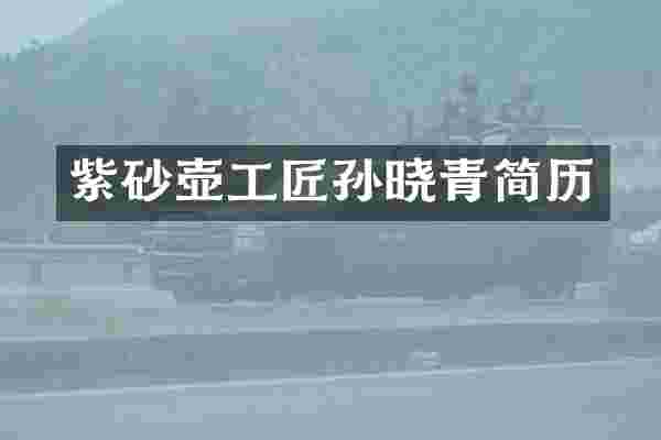 紫砂壶工匠孙晓青简历